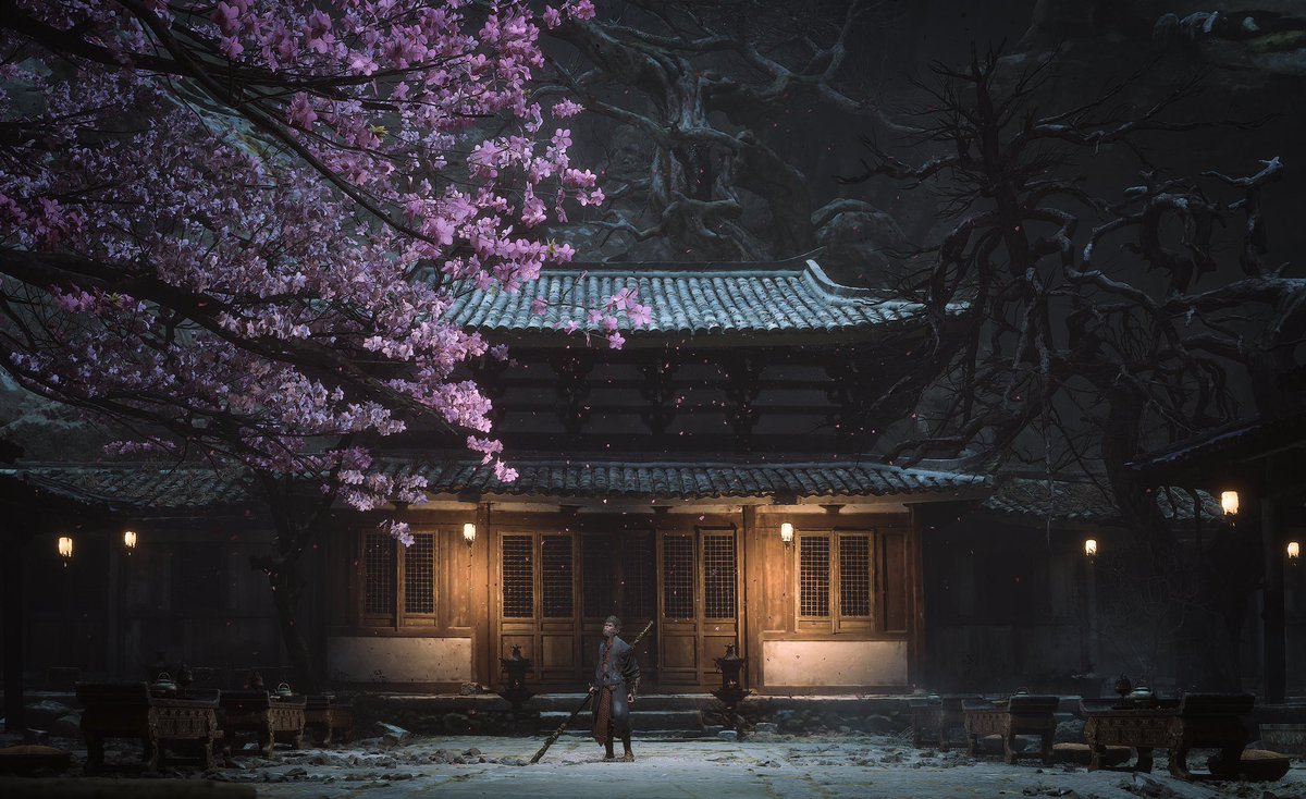 香断红消 花飞花谢
#BlackMythWukong 
#VirtualPhotography