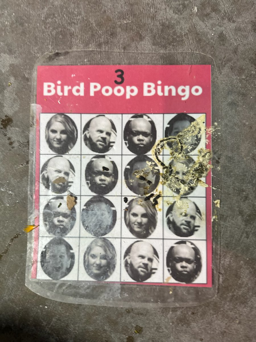 BlueYake's tweet photo. @LexandTerry @TerryJaymes @lexstaley @BVNP @sarahBmorgan Monday's bingo game was tir between Sarah and Terry! https://t.co/rOugWsc0sI