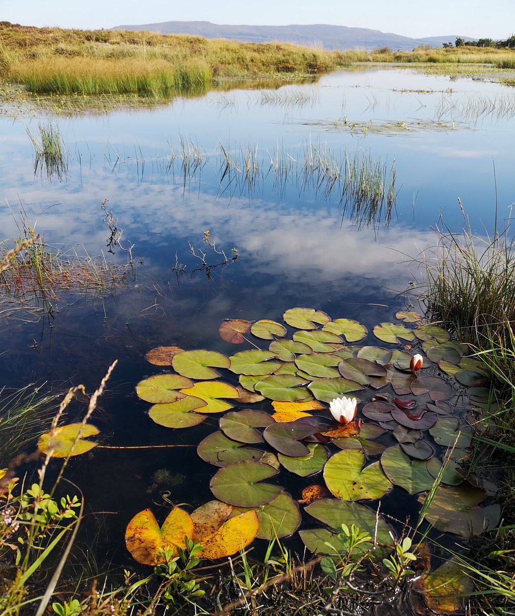 Hebridean lochan