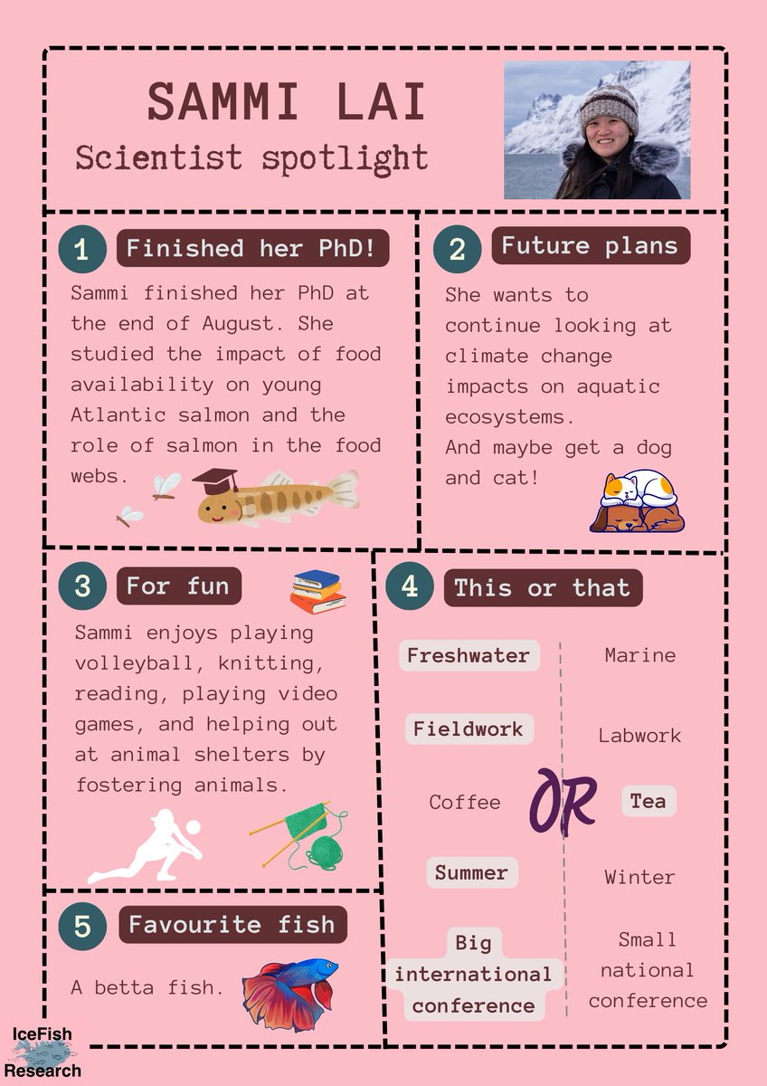 IceFish Research tweet media