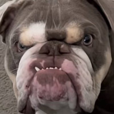 AiConsumer's tweet photo. #NewProfilePic https://t.co/JSmSpCwR5Y