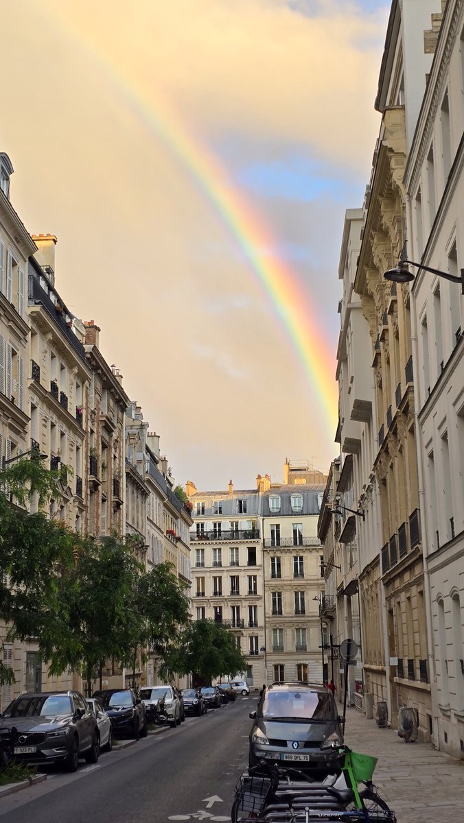 Rey Hart tweet media