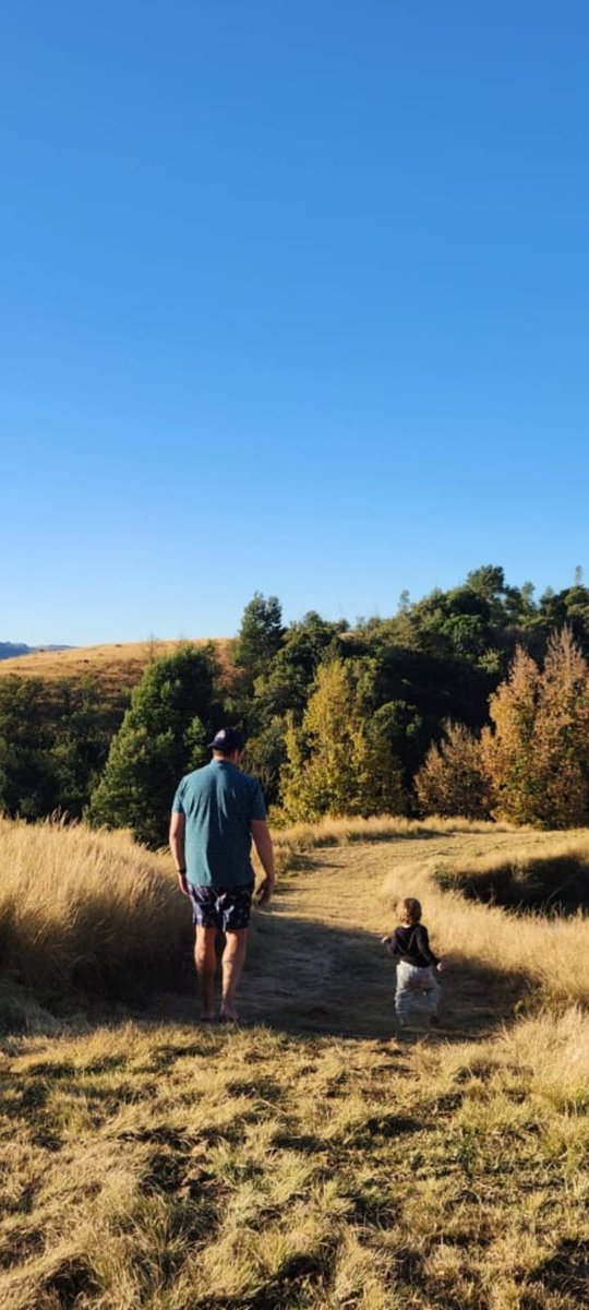 Brendan Gittins tweet media