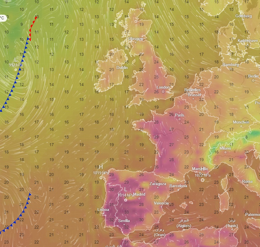 Migrant Lepidoptera tweet media