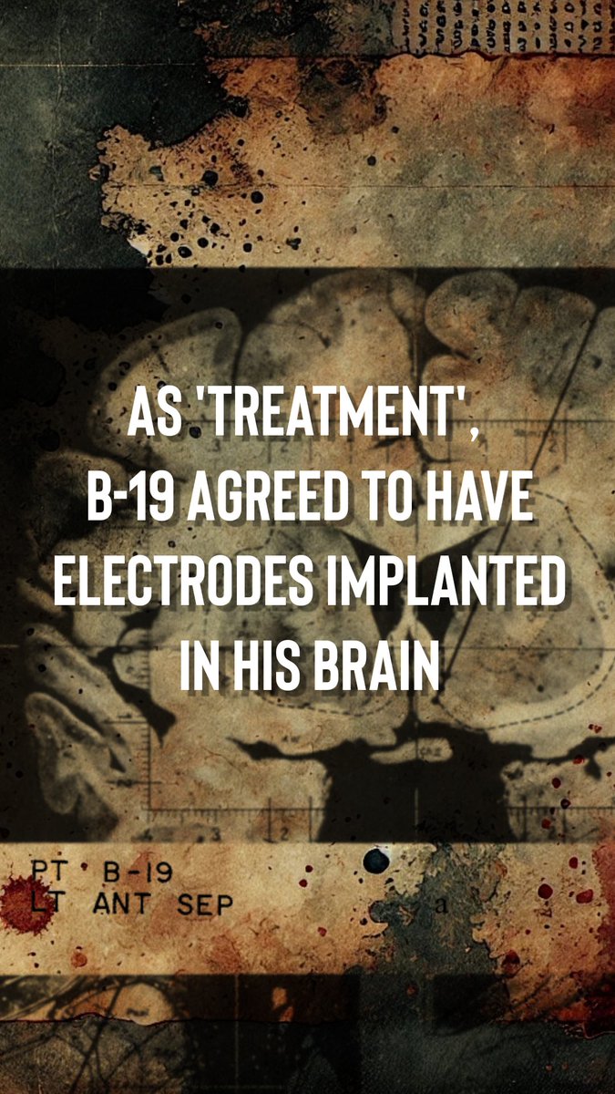 Dr Julia Shaw tweet media