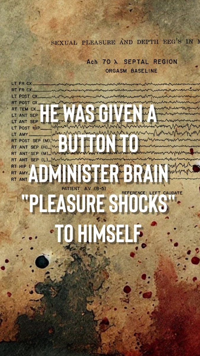 Dr Julia Shaw tweet media