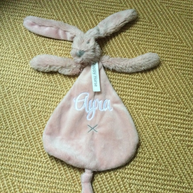 Verloren/Gevonden
Lief rose konijn Ayra gevonden bij Herenbrug/Lepelenburg #utrecht