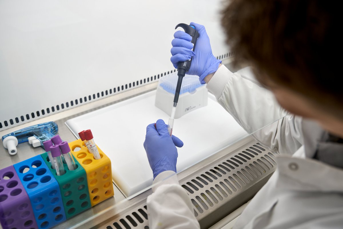 ROHNHSFT's tweet photo. 🧪Lab tests show novel bone cancer therapy has 99% success rate 

The ongoing research is exploring the use of gallium-doped bioglass for potential treatment in primary bone cancer. Read more 👉https://t.co/MzBFxuI6NY https://t.co/aEGaanEk4q