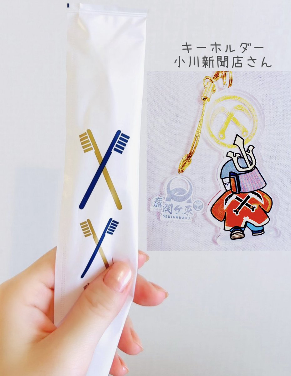 #歴史好きあるある

歯ブラシのイラストすら、小早川に見える

#違い鎌