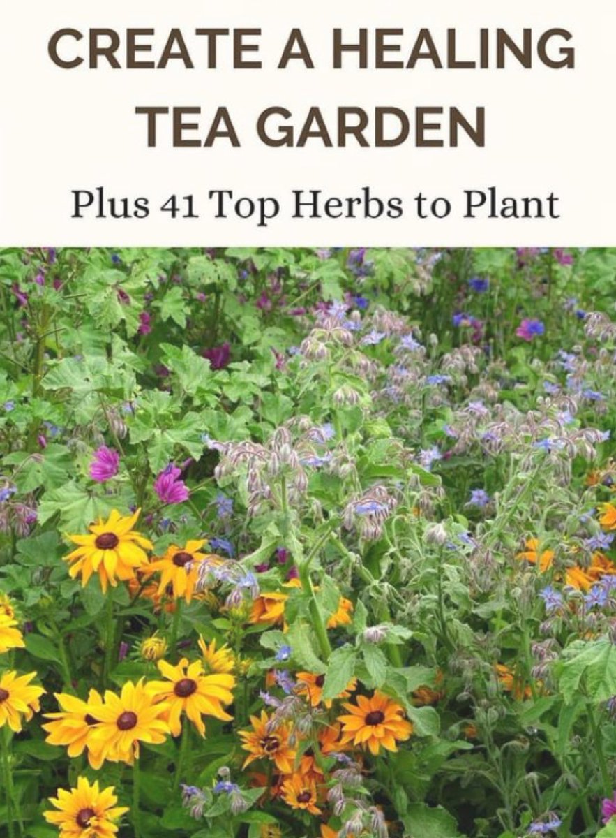 I’m going to try this … outdoorapothecary.com