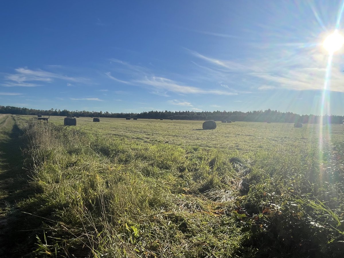 tomcnicholls's tweet image. Morning sun ☀️. End of haying at this farm . #MapleGrove NB ⁦@weathernetwork⁩ #shareyourweather ⁦@MurphTWN⁩ ⁦@NicoleKarkic⁩ ⁦@LFB10⁩ ⁦@JordyCaprice⁩ ⁦@nadinehp4⁩