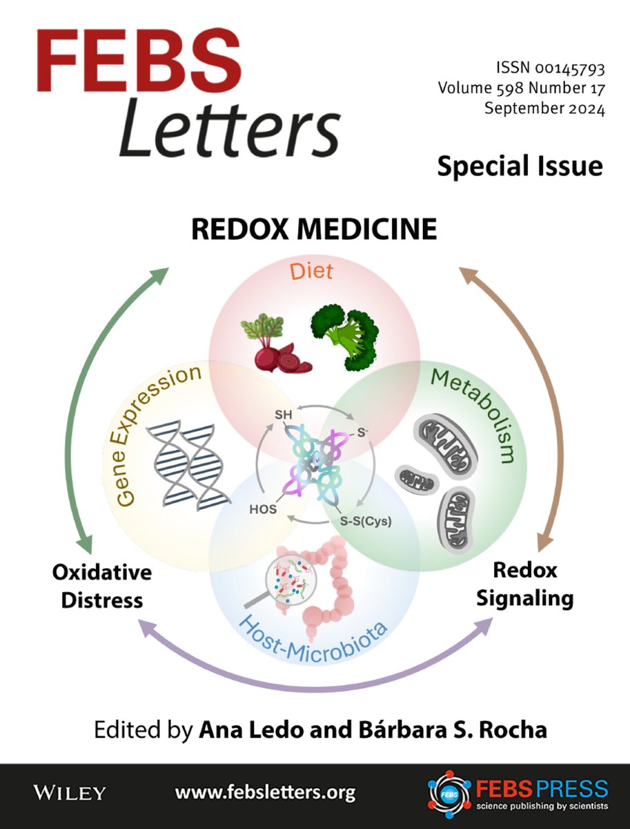 ⚡️ We're pleased to share our new Special Issue on #RedoxMedicine! 💊

👩‍🔬 Guest edited by <a href="/anamledo/">Ana Ledo</a> and Bárbara S. Rocha, <a href="/UnivdeCoimbra/">Universidade de Coimbra</a>
 
➡️ bit.ly/3XnEHv5

Eleven new reviews highlight redox regulation of #signaling pathways and explore the role of redox homeostasis in