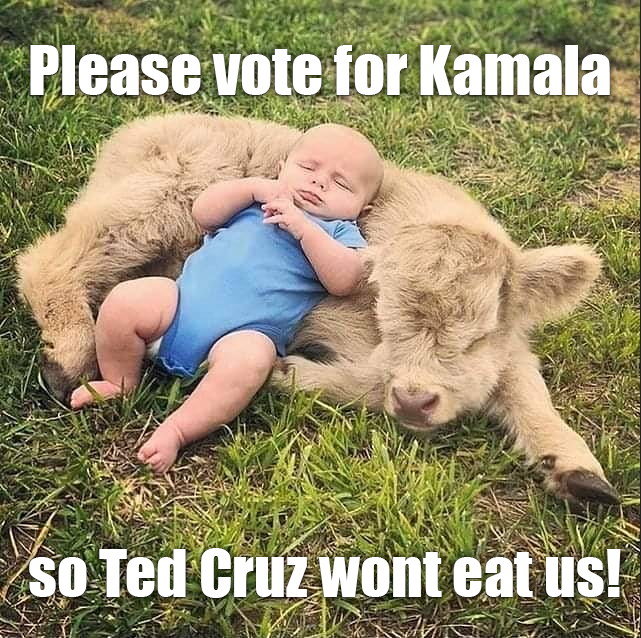 Pr0xage's tweet photo. @tedcruz https://t.co/KsXOBIUJLt