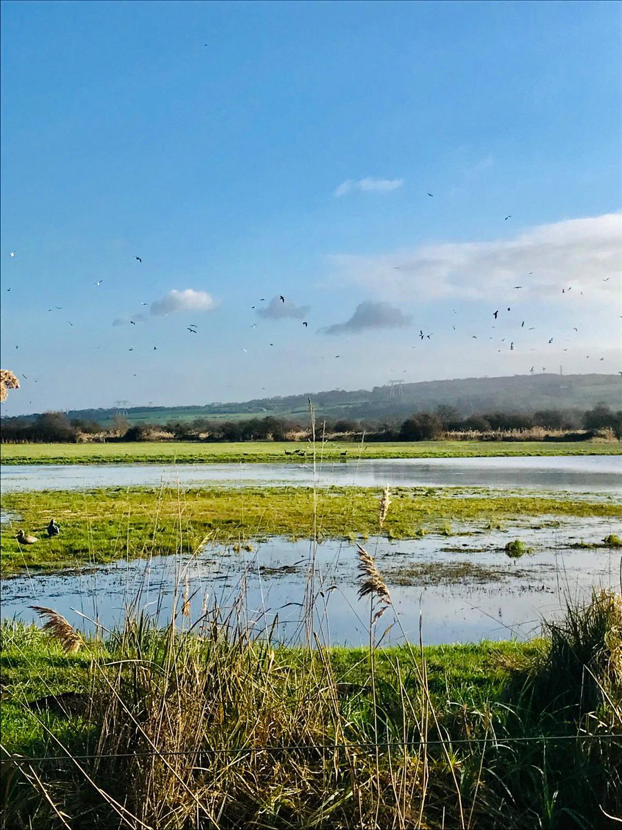 Préfet de l'Eure tweet media