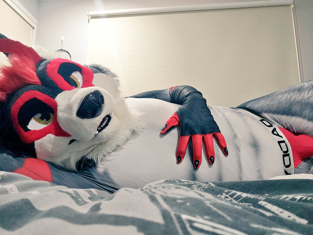 Belly rubs are in order! 😈