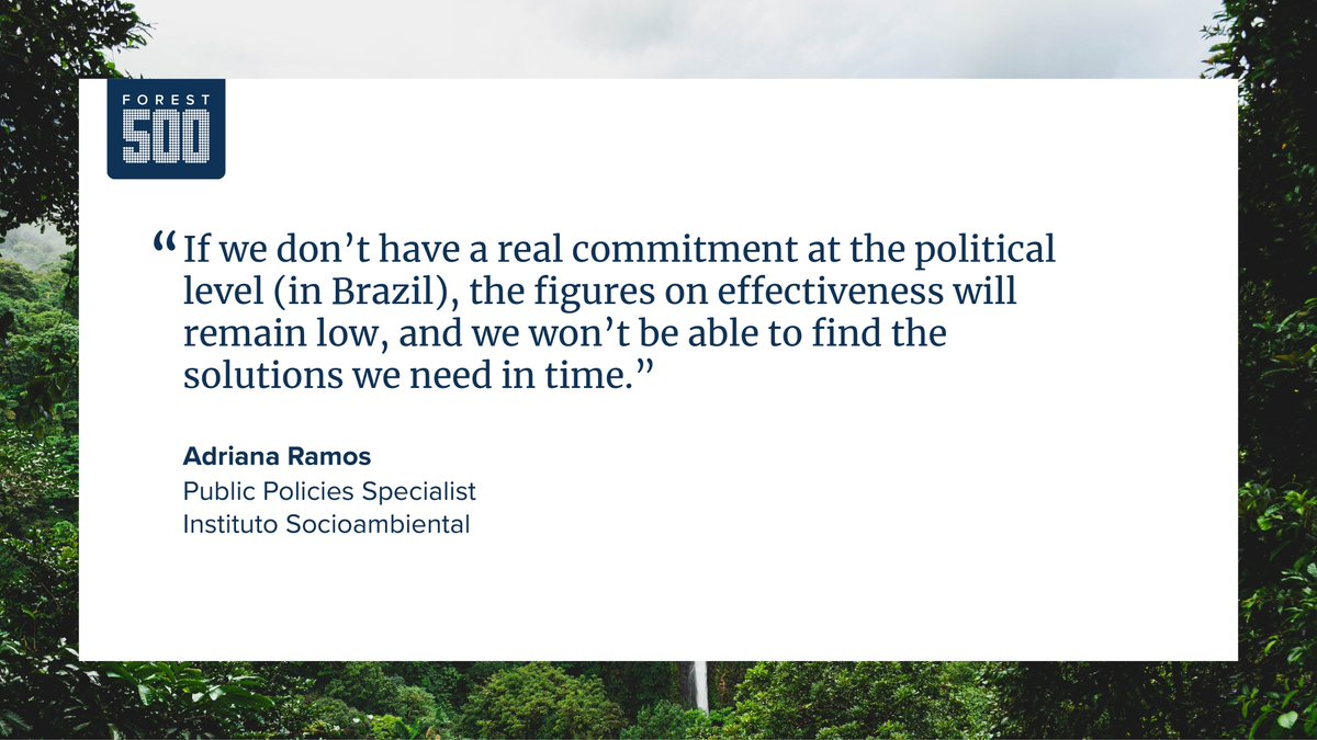 Forest 500 tweet media