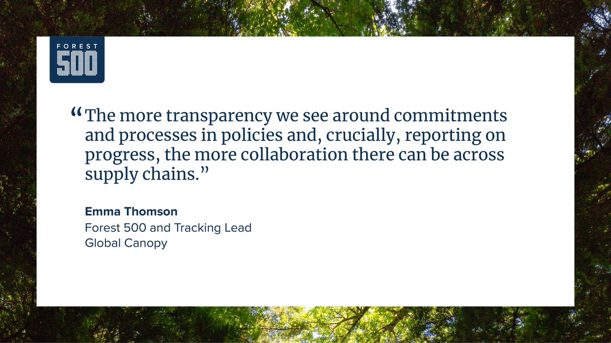 Forest 500 tweet media