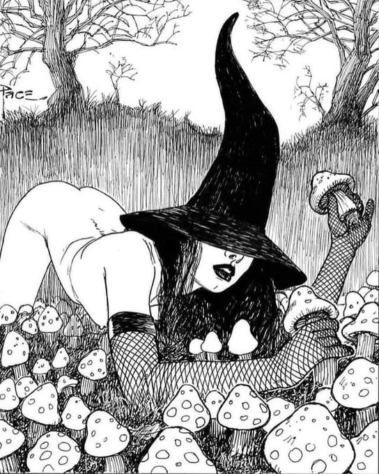 Been hearing a lot of comments about what a "true Domme" is...I think some of you have forgotten that