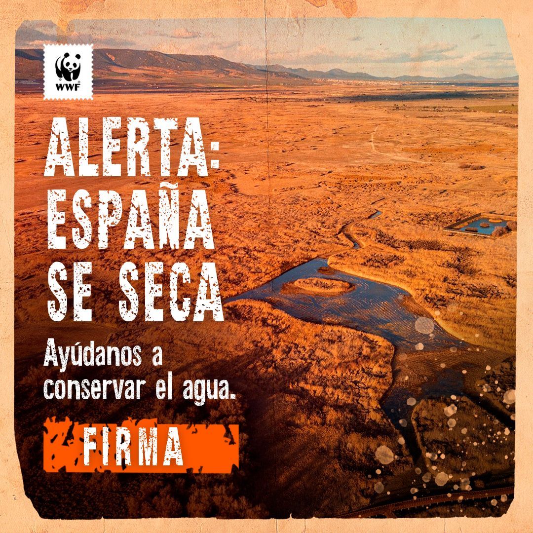 WWFespana's tweet photo. Demoledores datos del último estudio sobre #desertificación de la Estación Experimental de Zonas Áridas #EEZA @CSIC

El área de desierto en España crece de 307 km2 (limitado a Almería) a 7.100 en una década,  desertificando Murcia, Alicante y Granada

https://t.co/63aVJISvB9 https://t.co/W88o14yLKv