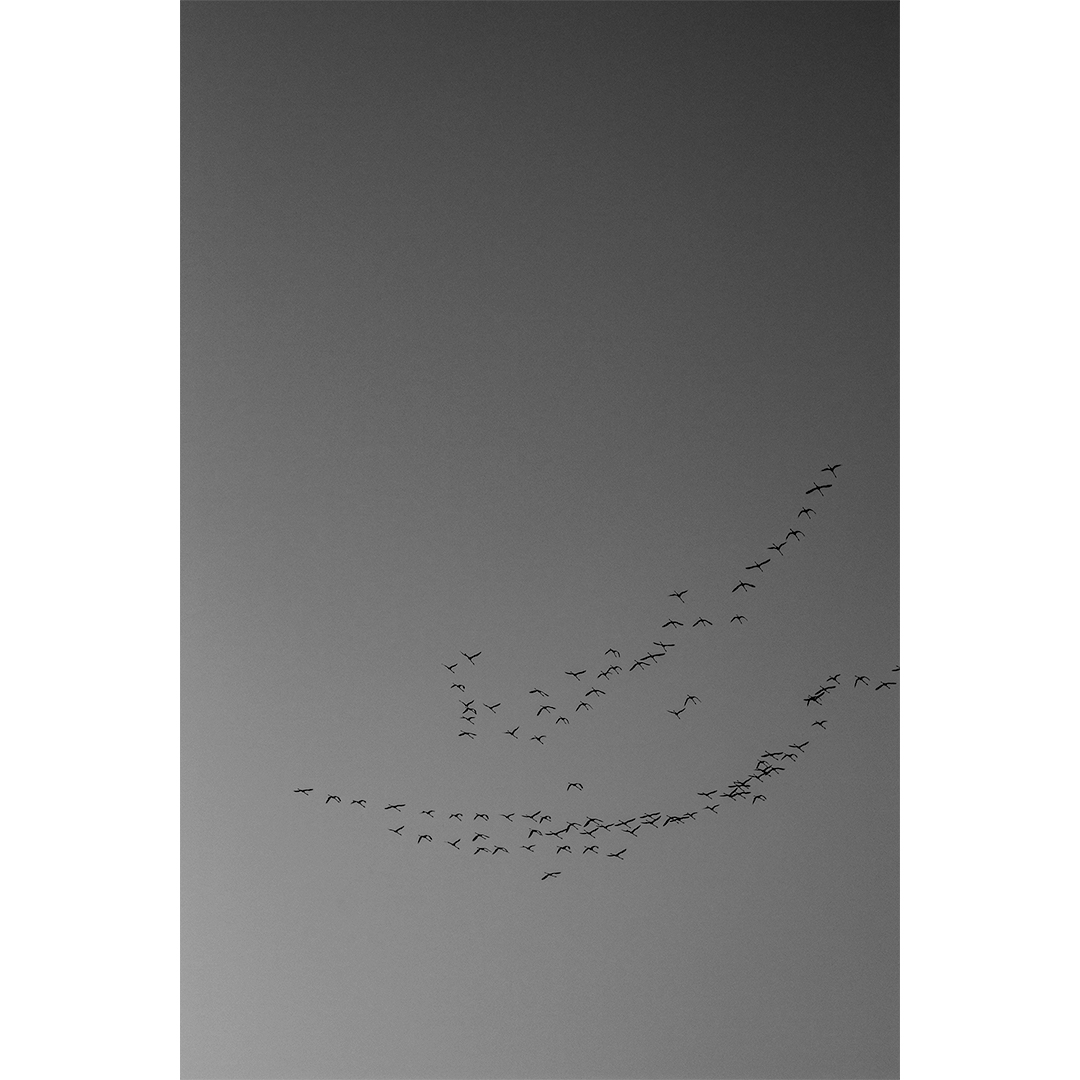 Hoy arranca el inicio del nuevo curso de la Escuela de Arte y Superior de Diseño de Orihuela (EASDO), una enorme fábrica de talento y creatividad de nuestra comarca 😃
Consulta su oferta formativa en esdorihuela.com/web/
📸de Miriam Lorca, antigua alumna de la <a href="/Easdorihuela/">Escuela de Arte y Superior de Diseño Orihuela</a>