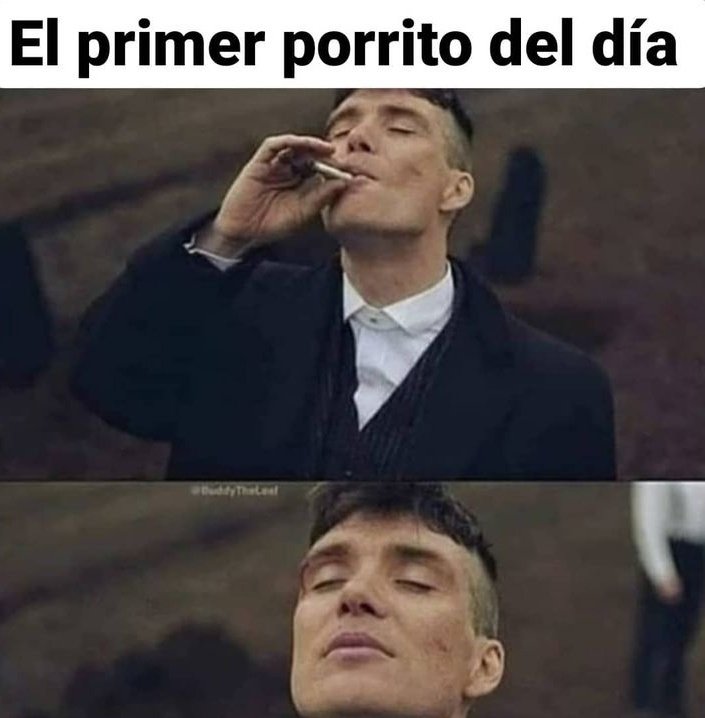 El Paragua Venenoso (@elparaguayo1231) on Twitter photo 