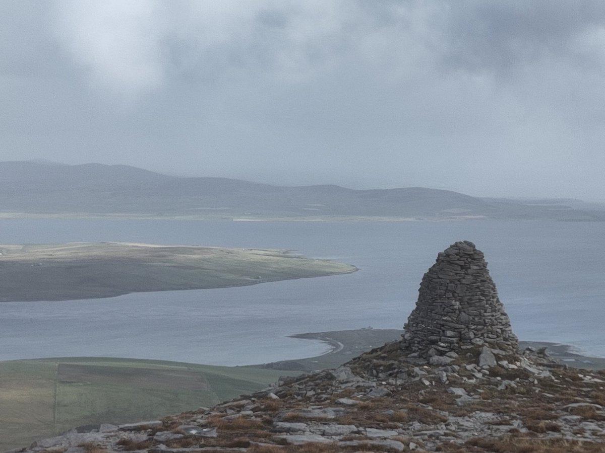 George Park tweet media