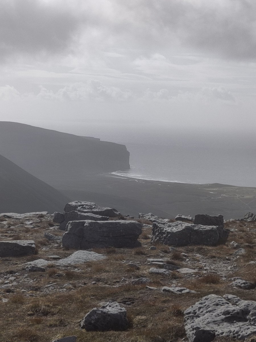 George Park tweet media