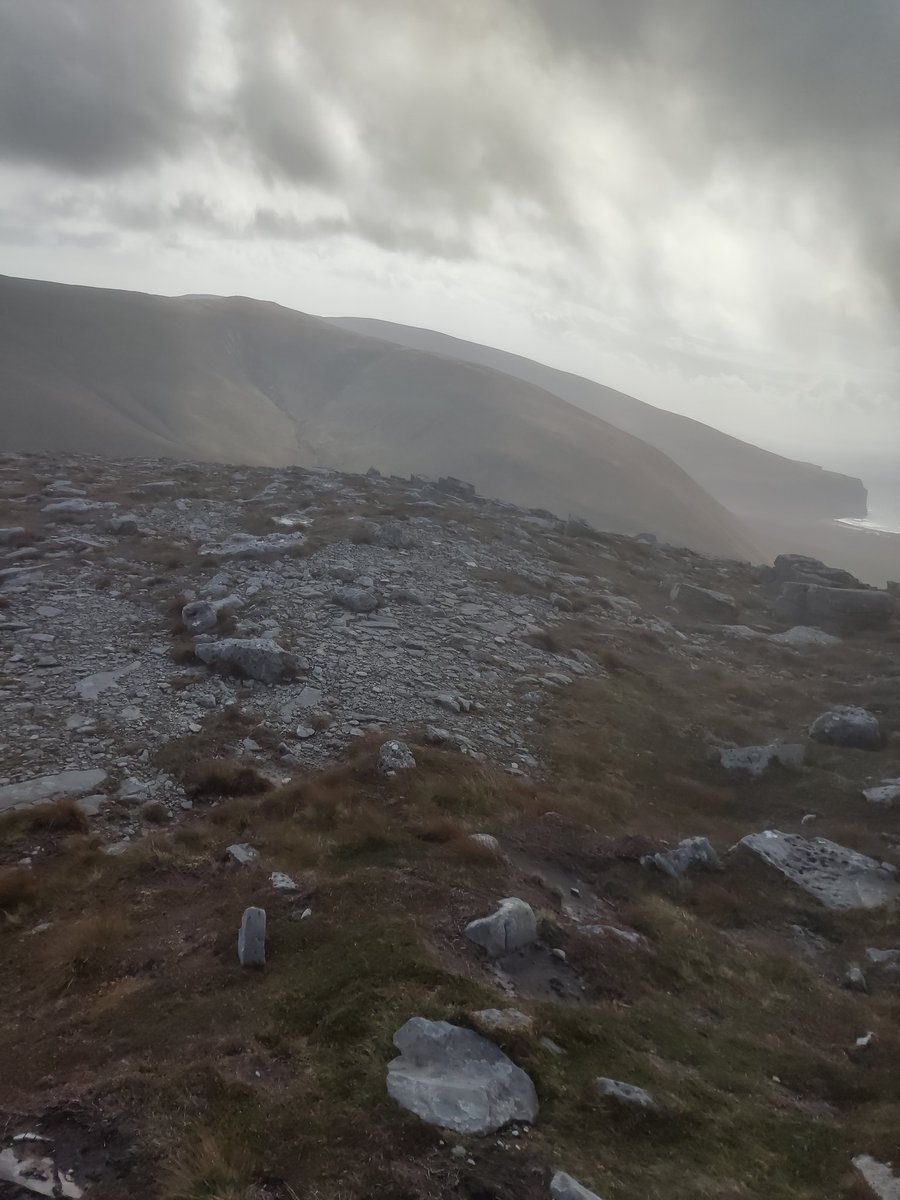 George Park tweet media