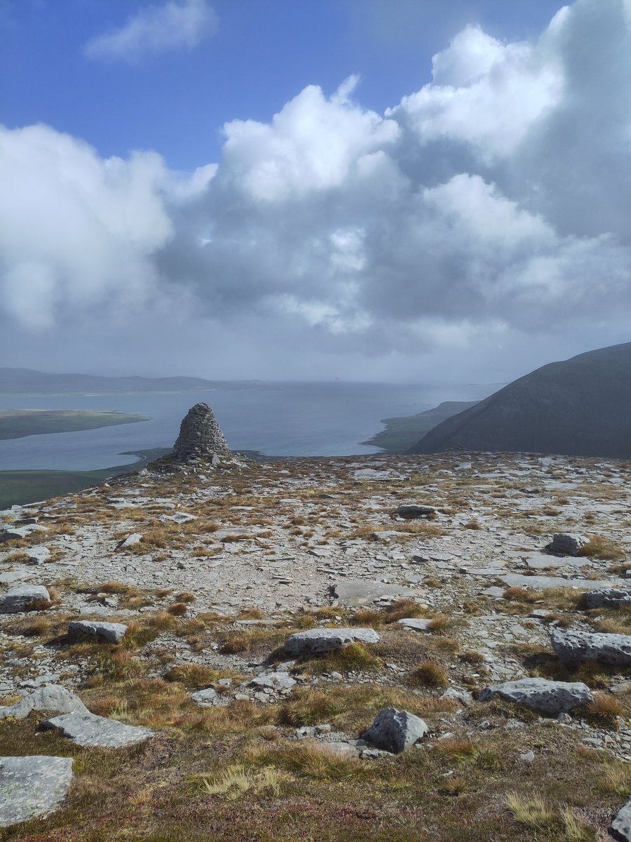 George Park tweet media