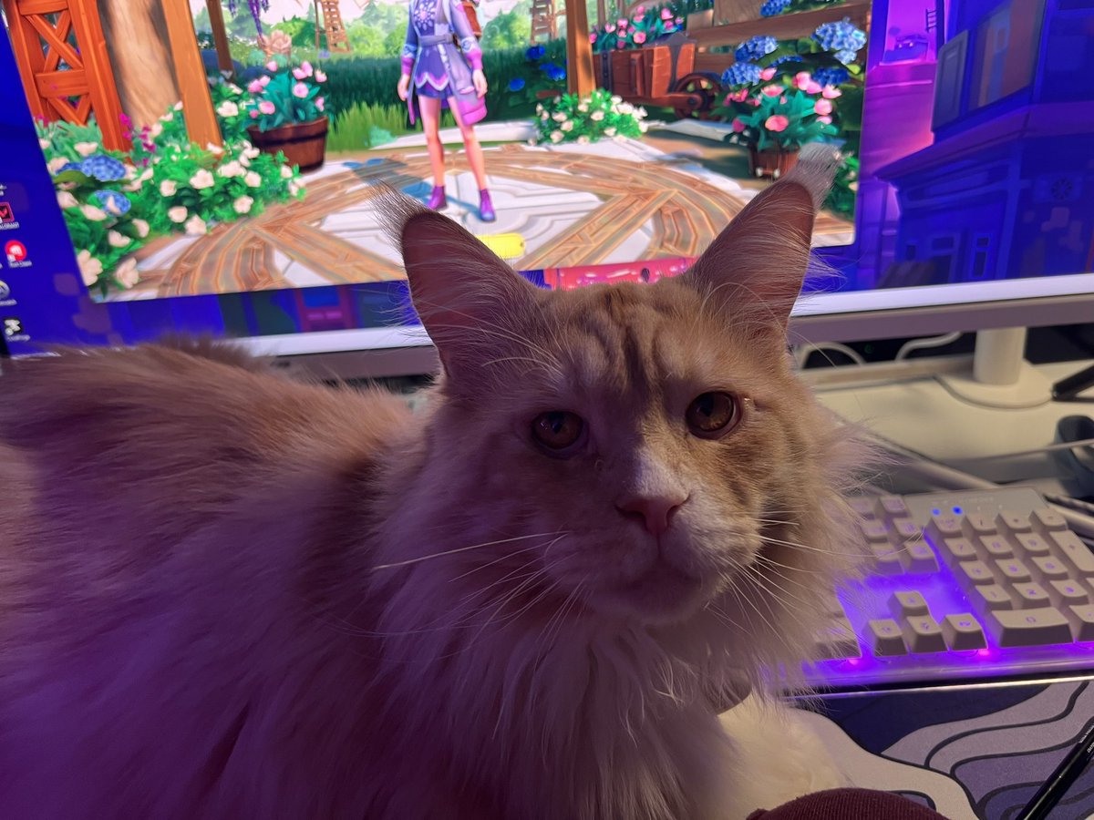 Ready for stream? Teemo is 🥳