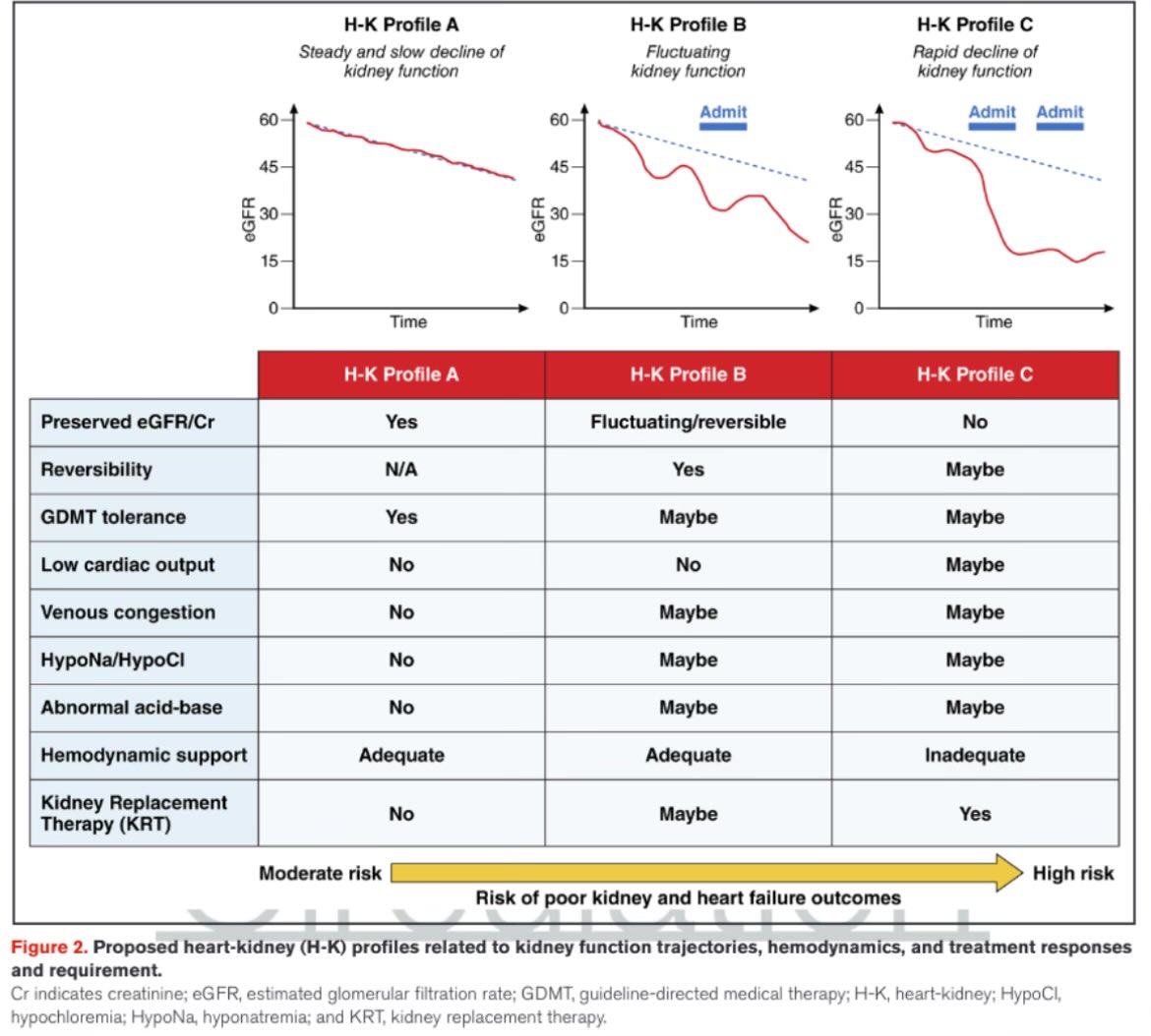 SeguraCardio's tweet photo. 📌Evaluation &amp; Management of Kidney Dysfunction in Advanced #HeartFailure: A Scientific 📝 From the @American_Heart

#PositionPaper #HF #CardioRenal https://t.co/hp8GyMmNAi