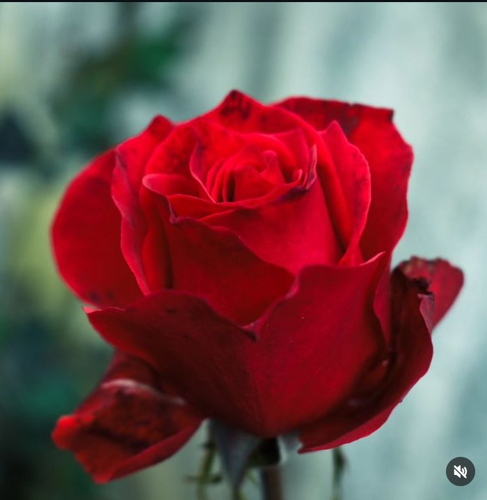 smithda75's tweet image. 