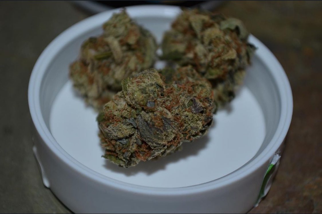 PopDaddyR's tweet image. Cannabis 🍀🍁