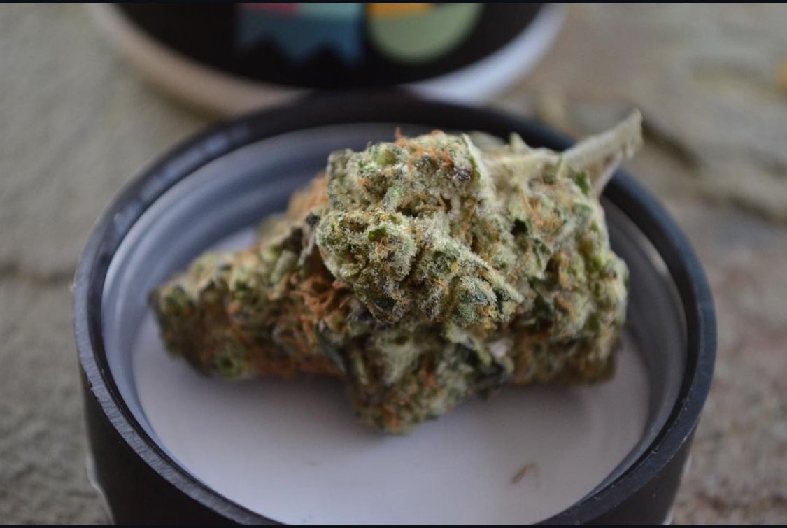 PopDaddyR's tweet image. Cannabis 🍀🍁