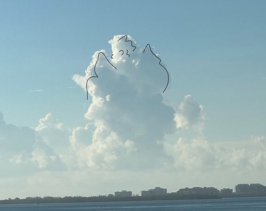 cloudywithfaces's tweet image. Angels!! 
And check me out on substack at cloudywithachanceoffaces.substack.com 
#angels #clouds #sky