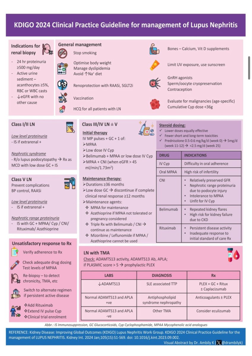 🦋Lupus Nephritis Management 

Infographic by <a href="/drambilyk/">Dr. Ambily K</a> <a href="/goKDIGO/">KDIGO</a> guidelines 2024