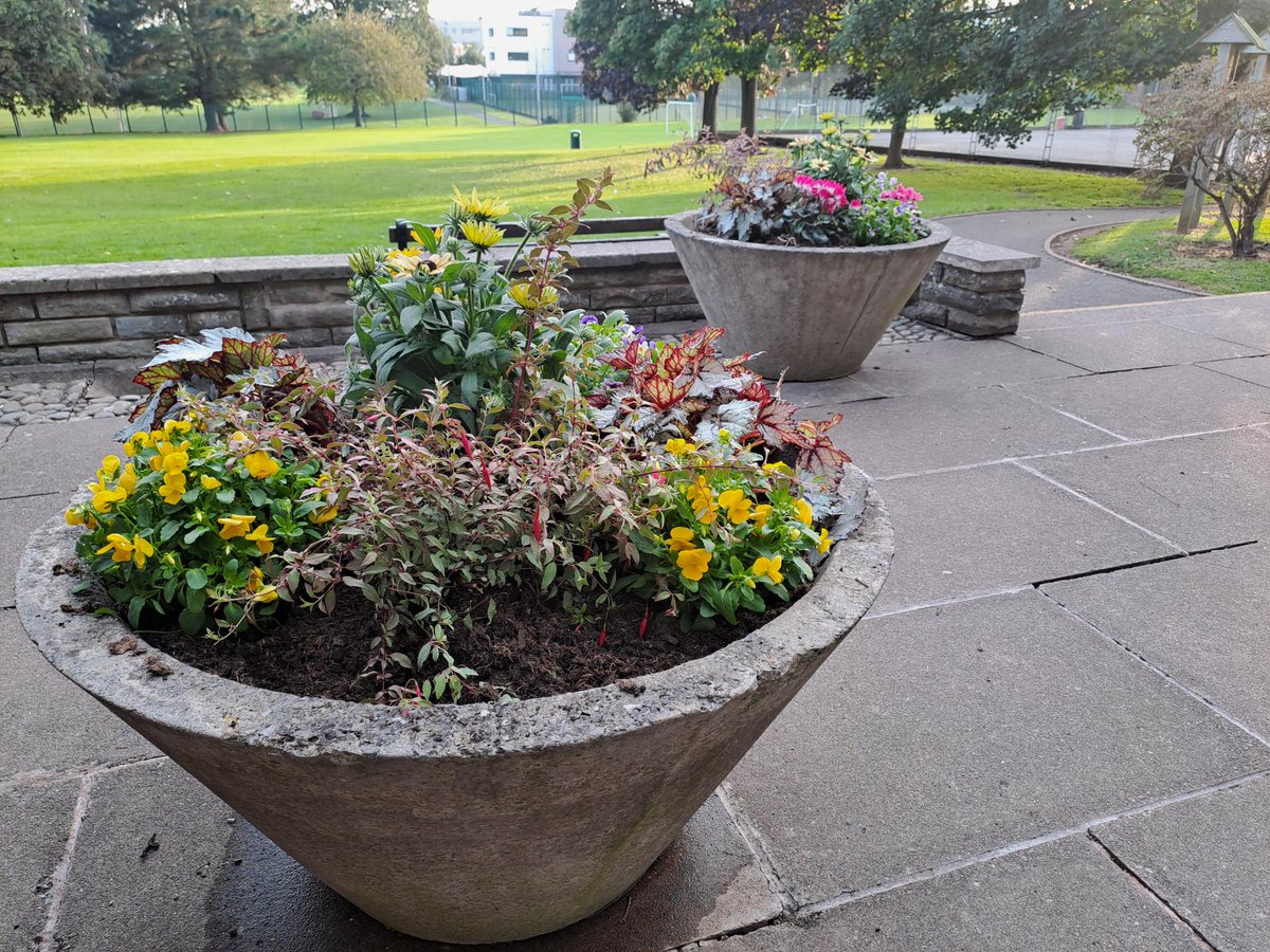 A HUGE thank you to <a href="/ANurseries/">Allensmore Nurseries</a> for donating plants to make our pots look superb #ProudAYLE #workingtogether