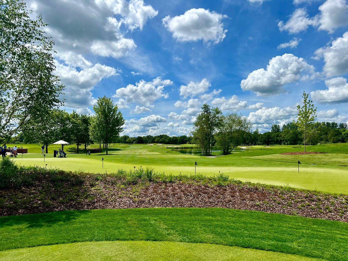 David Shepherd tweet media