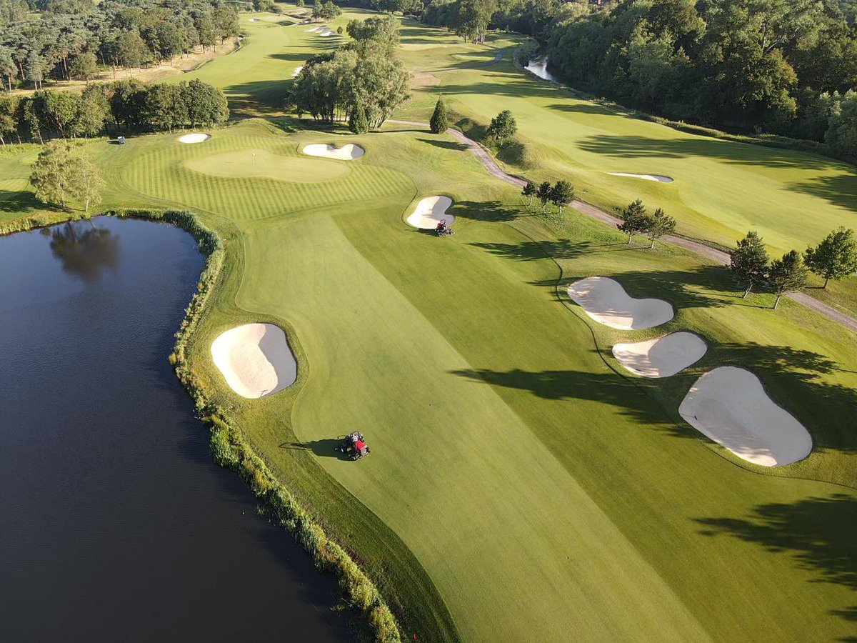 David Shepherd tweet media