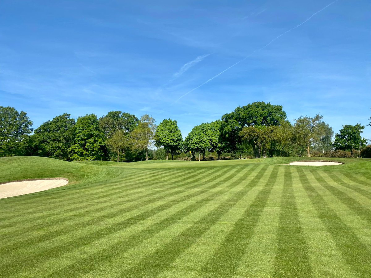 David Shepherd tweet media