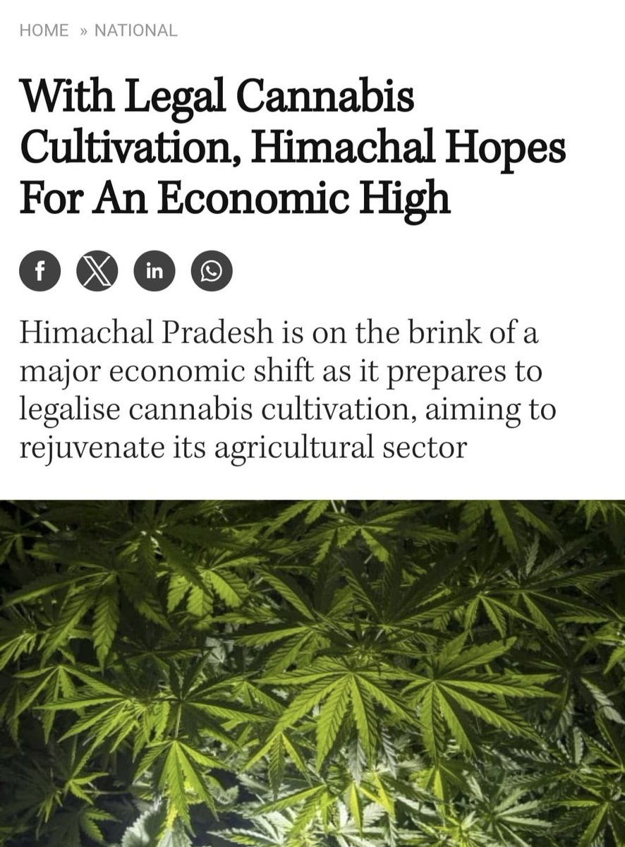 KTRBRS's tweet image. Thought this must be a joke when I saw it but guess the joke is on all those who voted for Congress

Is this the national policy of your party @RahulGandhi Ji?

“గ్యారెంటీలు” అమలు చేయలేక “గంజాయి సాగా”? ఇంతకన్నా సిగ్గుమాలిన చర్య ఇంకోటి ఉంటదా?