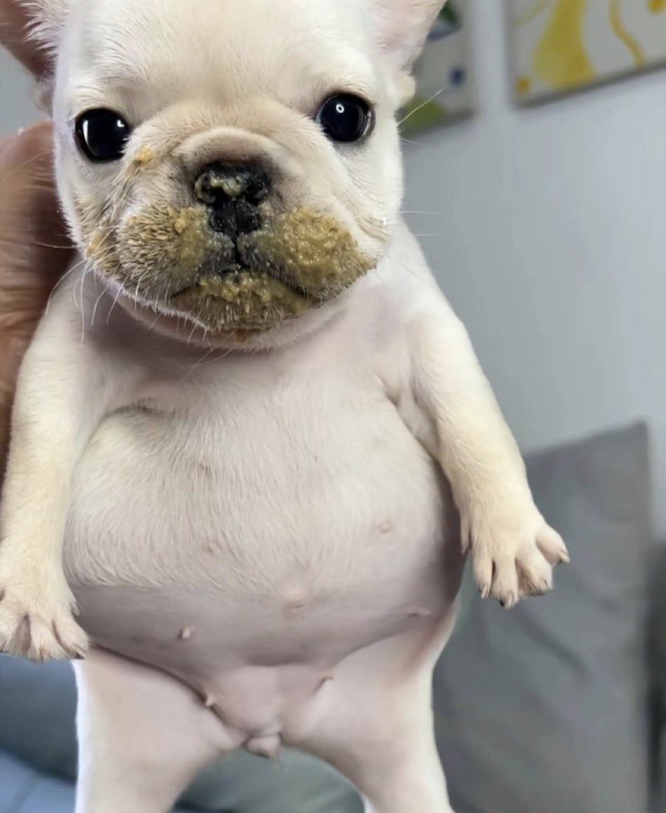 평생 애기로살거임