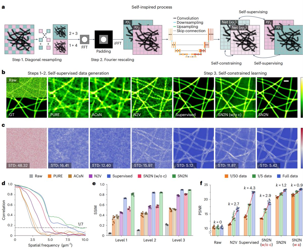 weisong_zhao's tweet image. Out at @naturemethods just now!

nature.com/articles/s4159…

We present #SN2N, a flagship level unsupervised denoising solution. It’s fully competitive with supervised learning without needing large training-set and clean ground-truth, using 1 noisy frame for training.

(1/n)