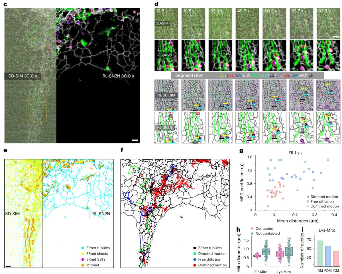 weisong_zhao's tweet image. Out at @naturemethods just now!

nature.com/articles/s4159…

We present #SN2N, a flagship level unsupervised denoising solution. It’s fully competitive with supervised learning without needing large training-set and clean ground-truth, using 1 noisy frame for training.

(1/n)