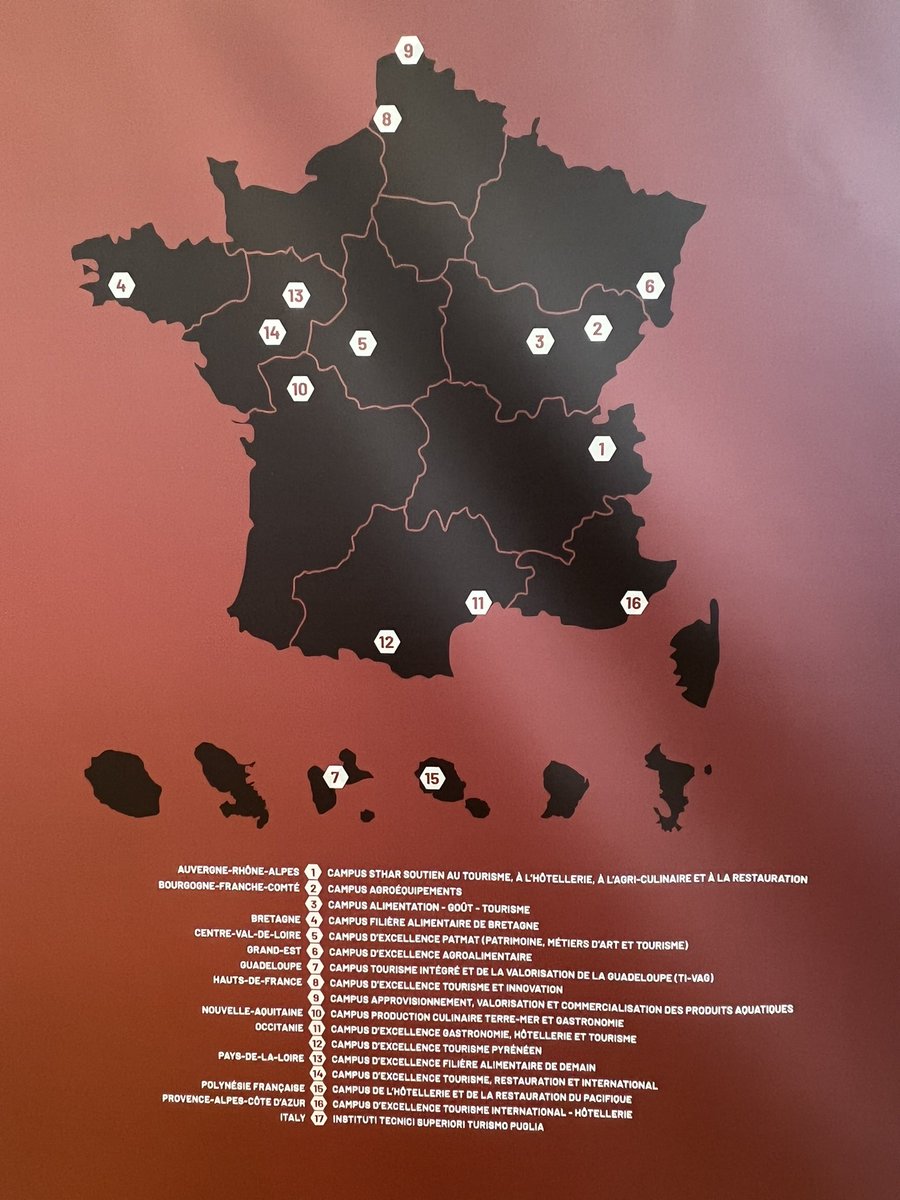 La France accueille à Lyon la compétition des Worldskills en lien avec la Commission européenne,  les Centres européens d’Excellence Professionnelle, les CoVE et le PNF. Les Campus des métiers et des qualifications français sont présents <a href="/gangloffchris/">Christine Gangloff-Ziegler</a> <a href="/GosierLmht/">Lycée des Métiers Violetta Chaville Le GOSIER</a>  <a href="/achalus971/">Ary CHALUS</a>
