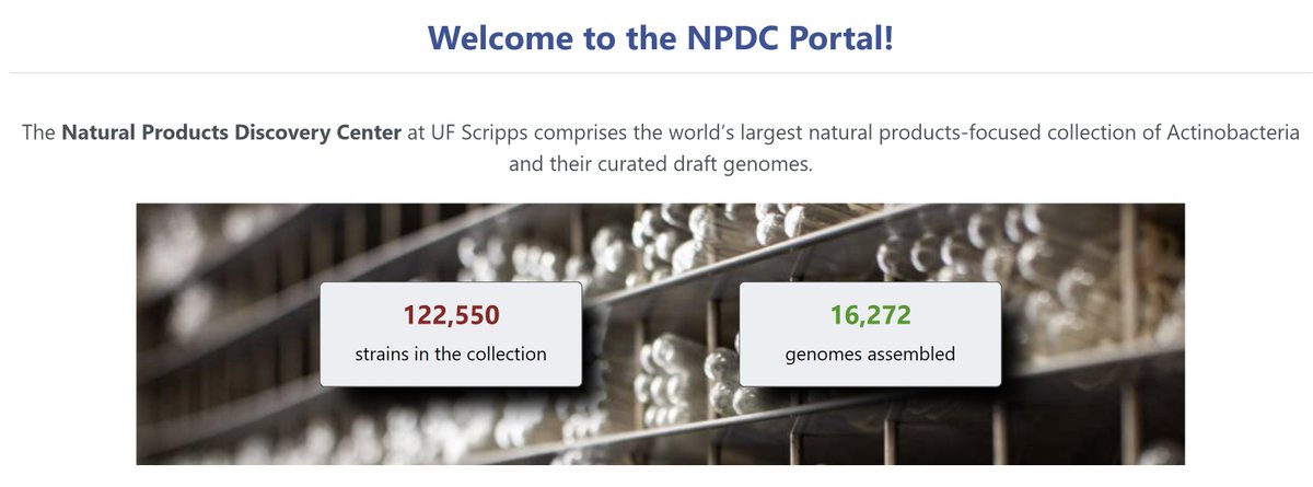 lab_shen's tweet image. We are thrilled to release over 1,000 more genomes on the NPDC Genome Portal (npdc.rc.ufl.edu)!