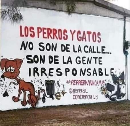 ¡ EXACTO !