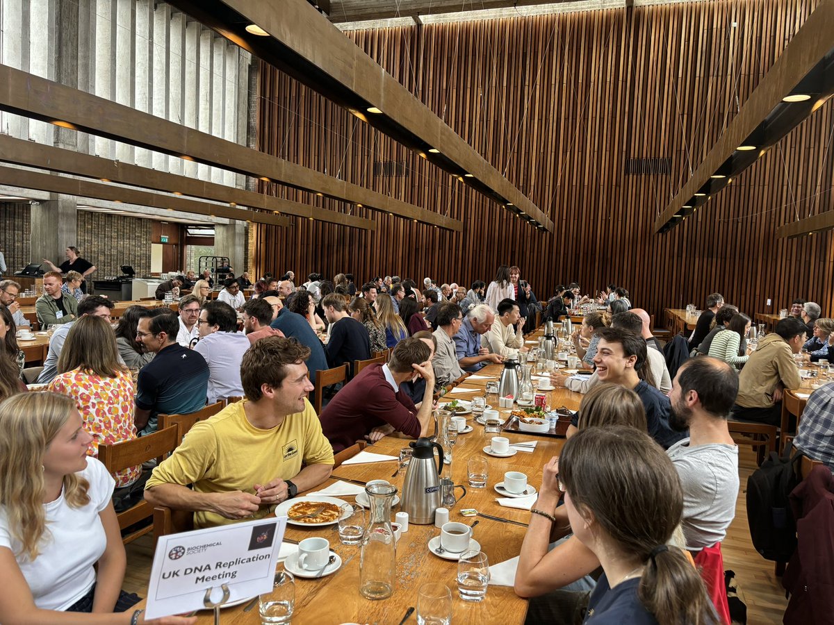 HarryOrrin's tweet image. Excited for the first day of the UK DNA Replication Meeting 2024! First up:  all things initiation. @BiochemSoc #BiochemEvent