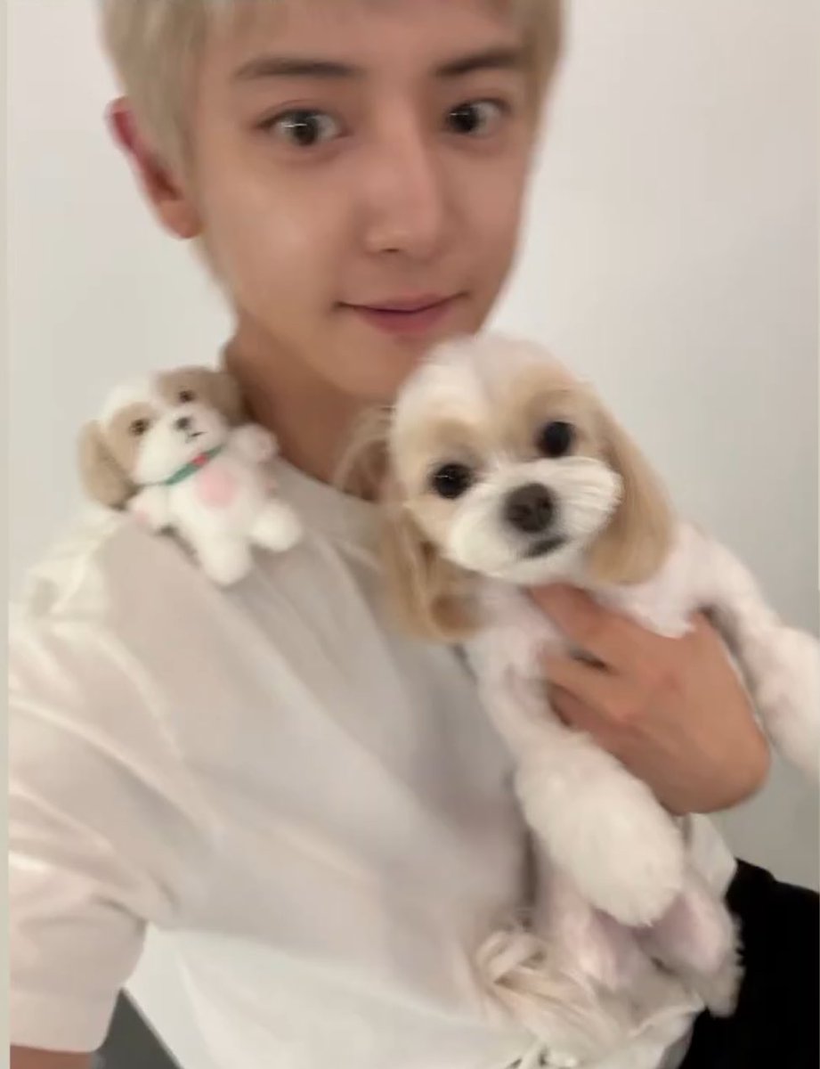 kokokbop's tweet photo. CHANYEOL UPDATE WITH ZZAR 🥹🤍 https://t.co/qMDTsEHhYq