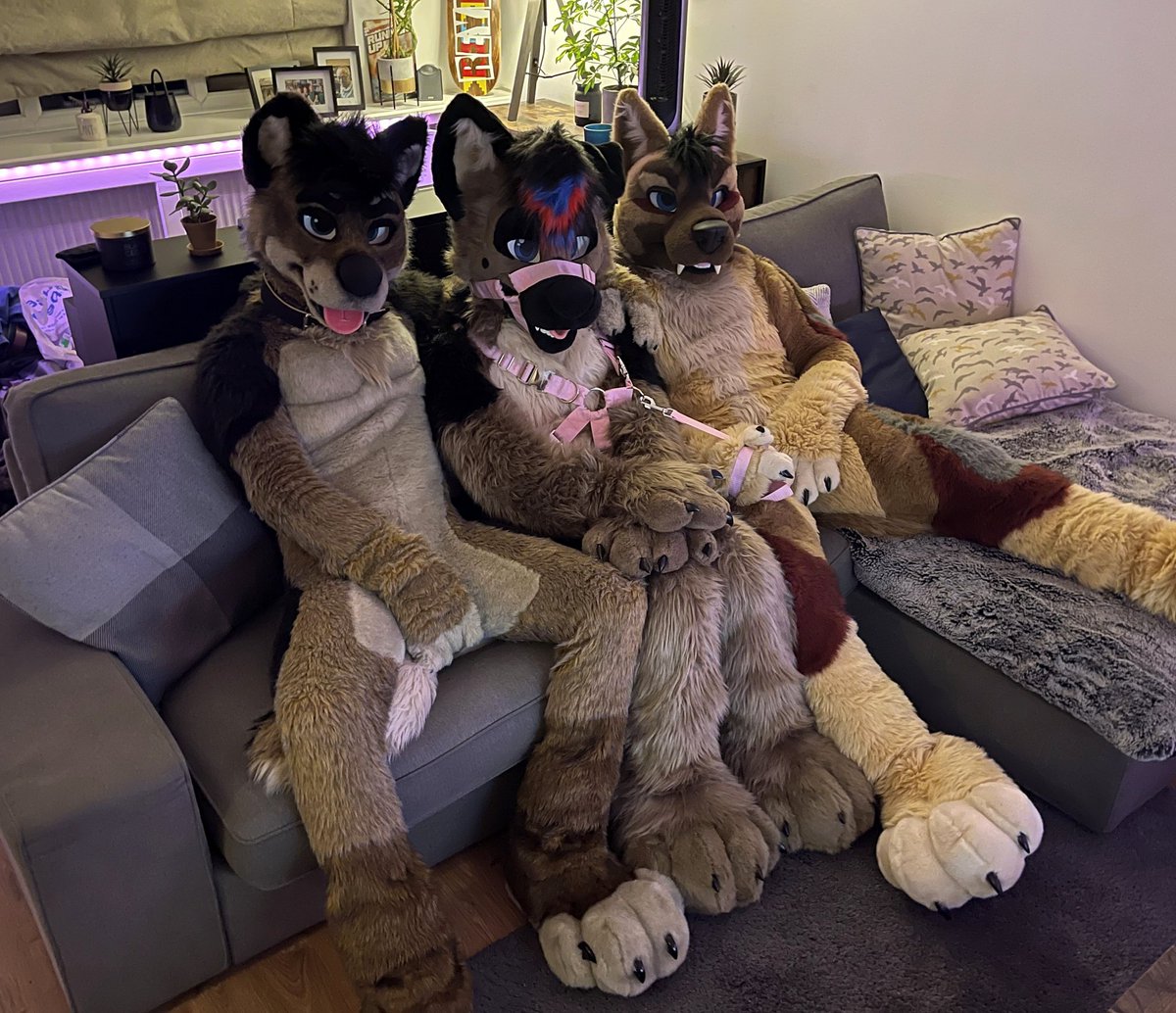 Echo Shep 🌈 tweet media